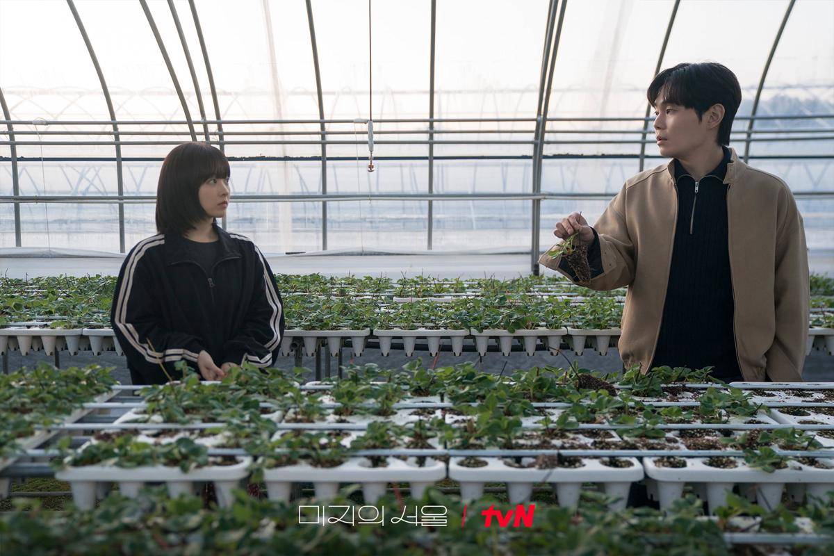 Se Jin dan Mi Rae saat mengecek bibit stroberi bersama. (x.com/CJnDrama)